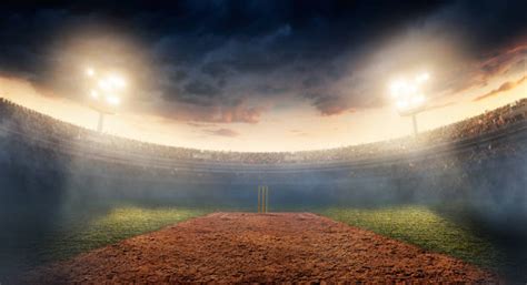 Royalty Free Cricket Pictures, Images and Stock Photos - iStock