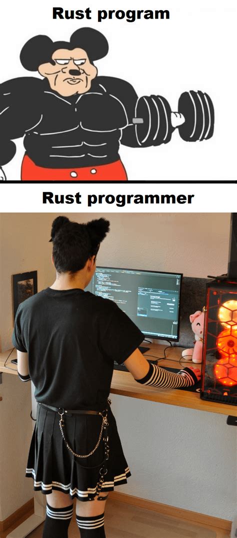 Rust 👍 : r/ProgrammerHumor