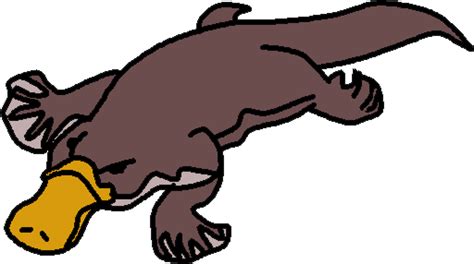 Platypus clipart free images 4 - WikiClipArt