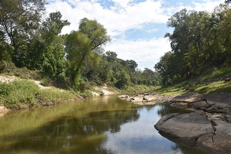 Sabine River Monitoring | Research at The Academy of Natural Sciences ...