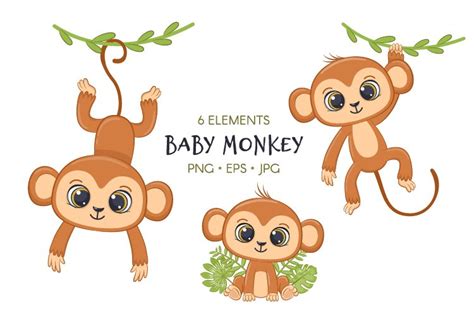 Cute monkey clipart, Cute zoo animals clipart PNG, EPS, JPG