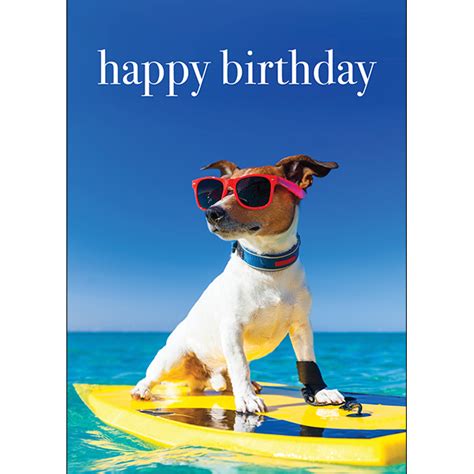 M138 - Happy Birthday - Dog Surfing Greeting Card | Affirmations Publishing House