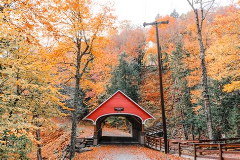 Fall Foliage Map 2024 New Hampshire Fall Foliage - Lynde Ronnica