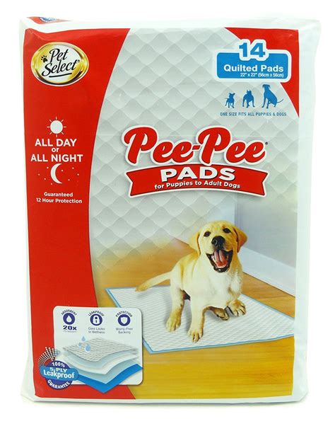 Pet Select Pee-Pee Training Pads, 22' x 22' -- For more information ...