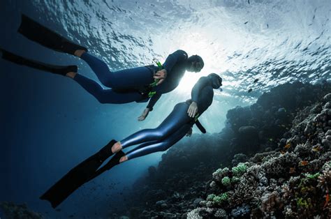 What are the benefits of freediving? - Freediving in United Arab Emirates. Courses, Certificates ...