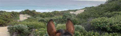 Deepdene Beach, Western Australia, Australia - 4 Reviews, Map | AllTrails