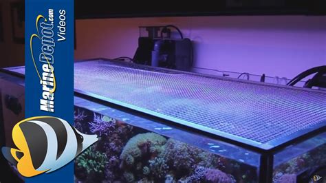 Tutorial: Make a DIY Screen Top for Your Aquarium - YouTube