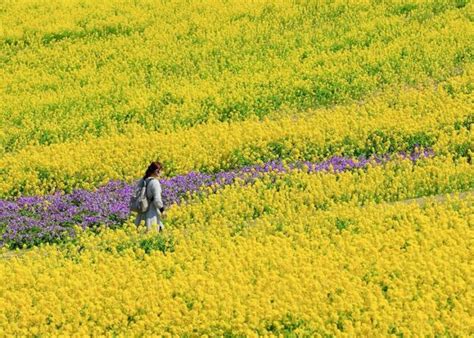 10 Things To Do On Awaji Island, Including A Hello Kitty Resort