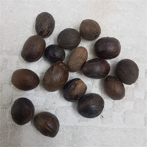 Herbal Nutmeg Fruit, Packaging Type: Loose at Rs 1100/kg in Greater Noida | ID: 21788470730