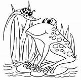 Frog Coloring Pages Free Printable sketch template