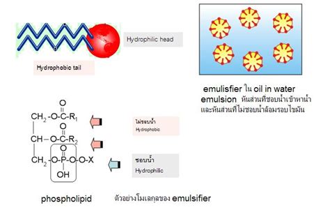 เคมีอาหาร (food chemistry)