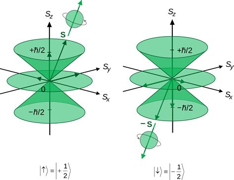 Does the angular momentum quantum number l designate the shape of the ...