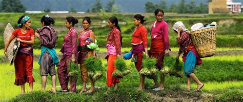 The climate of Nepal | Different seasons in Nepal