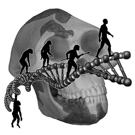 Paleoanthropology | Anthropology, Paleontology, Archaeology