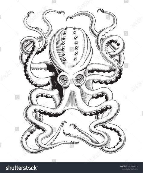 Octopus Kraken Hand Drawing Highdetailed Vintage Stock Vector (Royalty ...