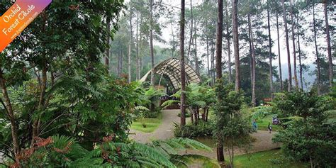 Orchid Forest Cikole Lembang | The Best Orchid Park in Bandung!