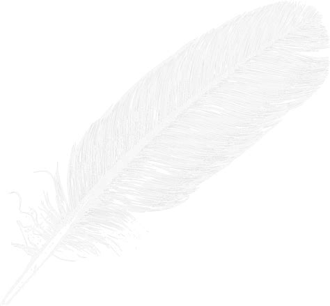 Free Feather Transparent Background, Download Free Feather Transparent Background png images ...