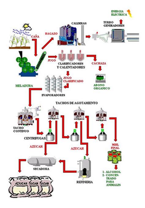 La producción de caña de azúcar supera las 55 millones de toneladas en 2018* | Servicio de ...