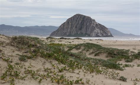 Morro Strand State Beach in Morro Bay, CA - California Beaches