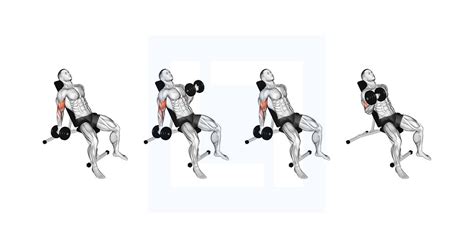 Dumbbell Seated Inner Biceps Curl - Guide, Benefits, and Form