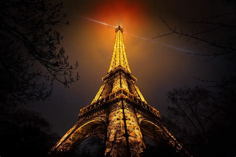 night, Eiffel Tower, Paris, France, Branch, Artificial lights, Red, Gold, Black, Monuments ...