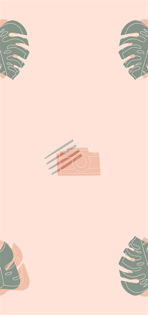 Download Peach Color Background 900 X 1920 | Wallpapers.com