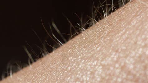 Skin goosebumps Stock Video Footage - 4K and HD Video Clips | Shutterstock