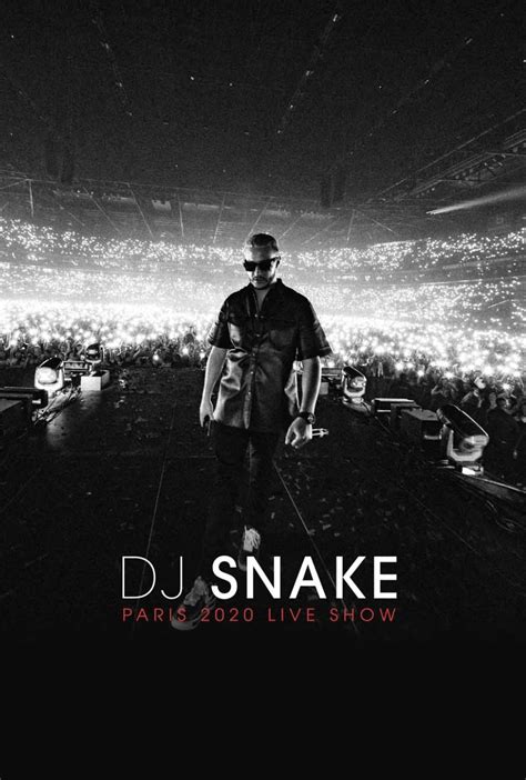 DJ Snake: The Concert in Cinema (2020)