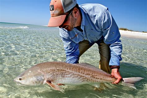 Panama City & Destin Florida Beach Fishing Pictures - SWE