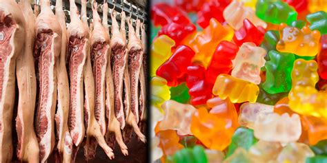 We Don't Want To Eat Gummies Ever Again After Watching This Shocking Video