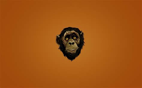 Charming Monkey HD Wallpaper for Your Screen