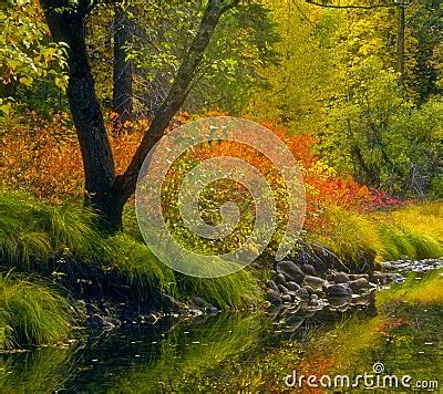 Fall Colors, Yosemite, California Stock Images - Image: 15100864