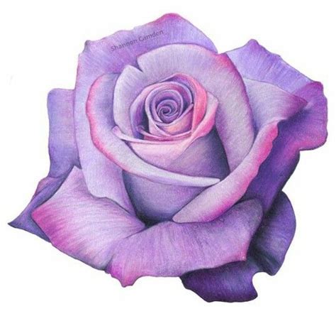 Colorpencil Colored Pencil Artwork, Color Pencil Drawing, Pencil Art Drawings, Art Drawings ...