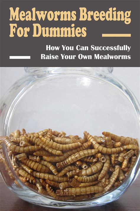 Mealworms Breeding For Dummies: How You Can Successfully Raise Your Own ...