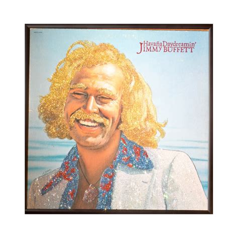 Glittered Jimmy Buffett Album - Etsy