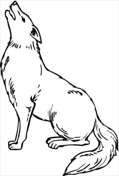 Coyote Howling Coloring Page - ColoringBay