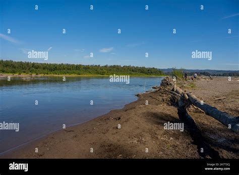 The Sandy River Delta at the Sandy River Delta Park, which is along ...