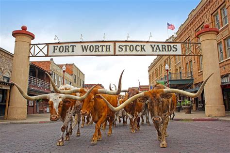 Best Texas Attraction Winners (2017) | USA TODAY 10Best