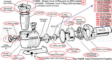 Parts Of A Pool Pump Motor