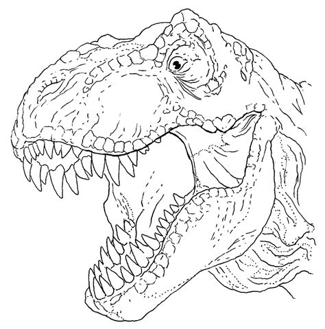 T Rex Coloring Pages – Printable Coloring Pages