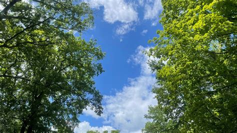 Minnesota weather: Stunning day, coolest since early June with highs in ...