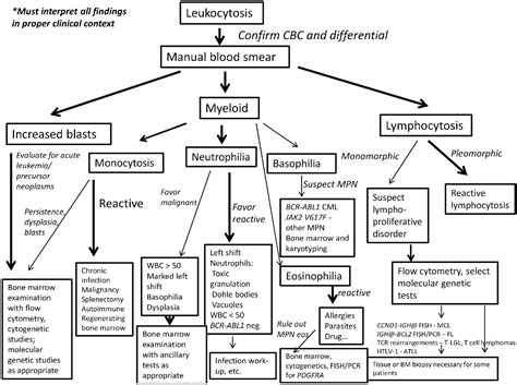 Evaluation Of Patients With Leukocytosis American Family