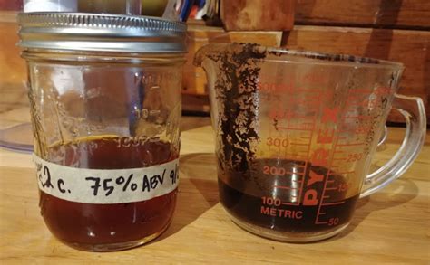 Chaga Tincture – Alaska Ethnobotany