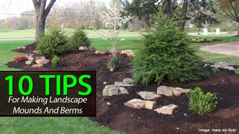 10 Berm Landscaping Tips: Building A Berm or Landscape Mounds – TUTORING YOU