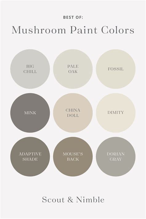 Mushroom Color Paint Wall - #The Expert