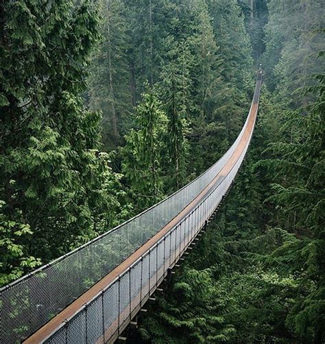 Capilano Suspension Bridge Park