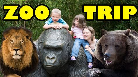 Zoo Animals - Cute Animals - Funny Animals - An Amazing Zoo Trip - YouTube