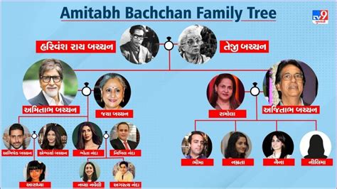 Amitabh Bachchan Family Tree: અમિતાભ પરિવારના આ લોકોને તમે ઓળખતા નહિ ...