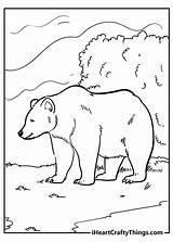 Bear Coloring Pages Updated 2021 sketch template