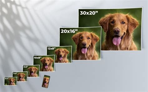 Standard photo sizes - different print sizes explained | Max Spielmann